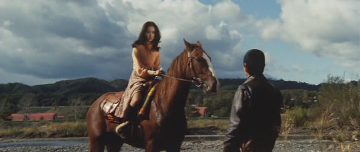 Manhunt / Kimi yo fundo no kawa wo watare (1976)