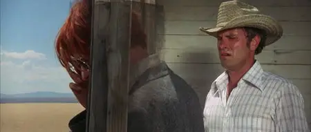 L'uomo che cadde sulla Terra (1976)