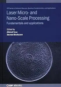 Laser Micro- and Nano-Scale Processing: Fundamentals and applications