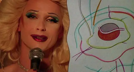 Hedwig and the Angry Inch (2001)