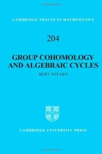 Group Cohomology and Algebraic Cycles