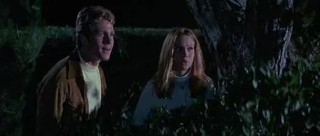 The Big Bounce (1969)