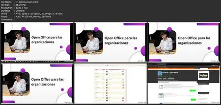 Open Office Para Las Organizaciones