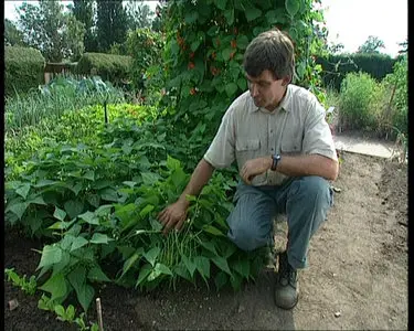 A Practical Guide To: Vegetable Growing, Making A Small Garden, Small Greenhouse and Conservatory