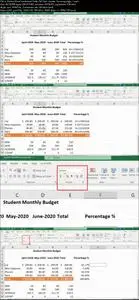 Mastering Microsoft Excel Beginners Boot Camp-Learn Fast!