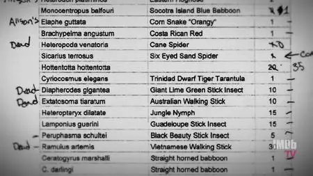 Bug Out S01E04