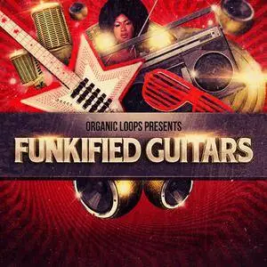 Organic Loops Funkified Guitars MULTiFORMAT