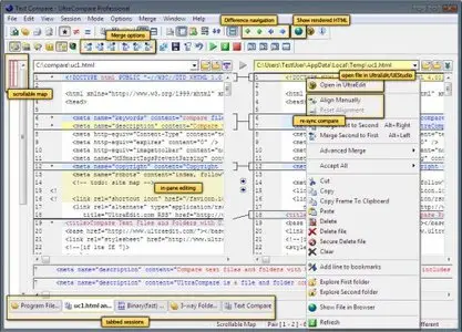 IDM UltraCompare Pro v8.20.0.1009 + Portable
