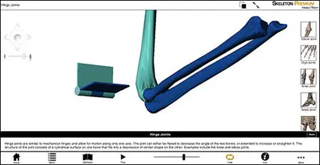 Visible Body Skeleton Premium v2.0.0 MacOSX (Repack)