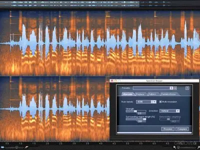 Groove3: iZotop RX 2 Explained (2012)
