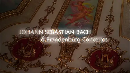 Bach: Brandenburg Concertos - Orchestra Mozart, Giuliano Carmignola, Claudio Abbado (2008) [Blu-ray]