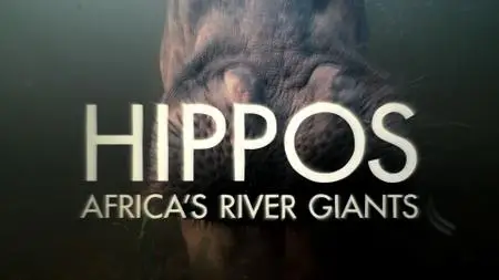 BBC Natural World - Hippos: Africa's River Giants (2019)