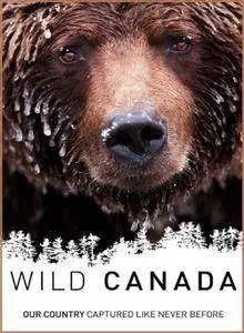 Wild Canada (2014)