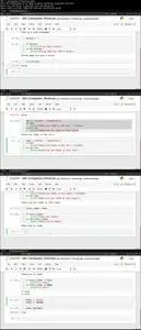 Python for Everybody: The Ultimate Python 3 Bootcamp