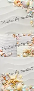 Stock Photo - Seashells & Sand 2