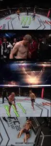 UFC 209 (2017)