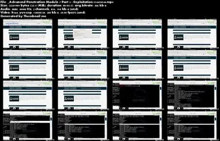Cybrary - Advanced Penetration Testing