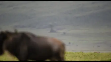 Underdogs S01E03
