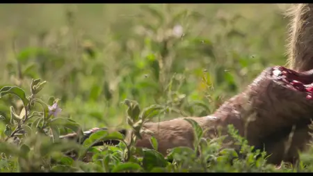 Underdogs S01E03