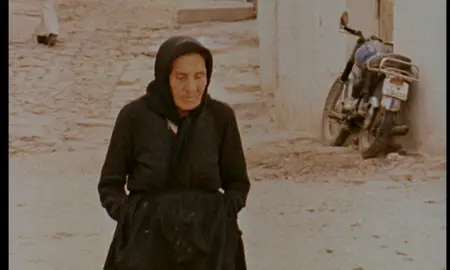 F for Fake (1973)
