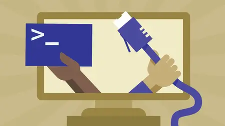 Les fondements des réseaux : Les protocoles, les outils et la CLI