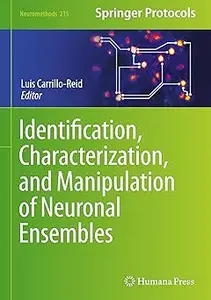 Identification, Characterization, and Manipulation of Neuronal Ensembles