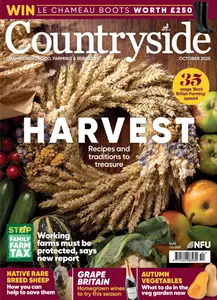 Countryside - October 2025