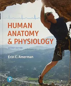 Human Anatomy & Physiology (Repost)