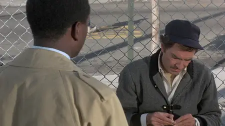 They Call Me Mister Tibbs! (1970)