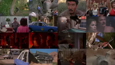 Ninja III: The Domination (1984)