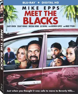 Meet the Blacks (2016)