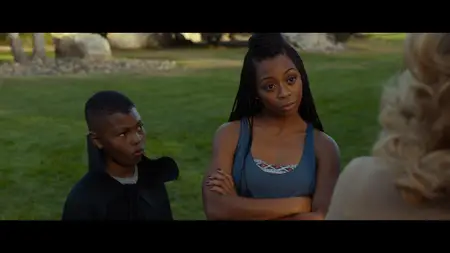 Meet the Blacks (2016)