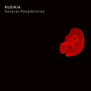 Team Kusikia - Several Possibilities (2019)