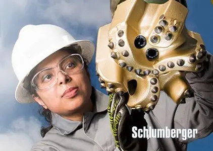 Schlumberger OilField Manager (OFM) 2014.1