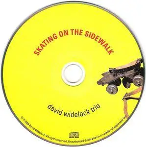 David Widelock Trio - Skating On The Sidewalk (2009)