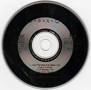 The Rembrandts - Just The Way It Is, Baby [CD-S] (1991)