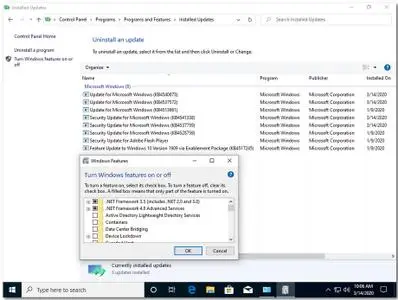 Windows 10 Pro version 1909 Build 18363.719