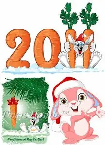 Vector - New Year Rabbit 2011