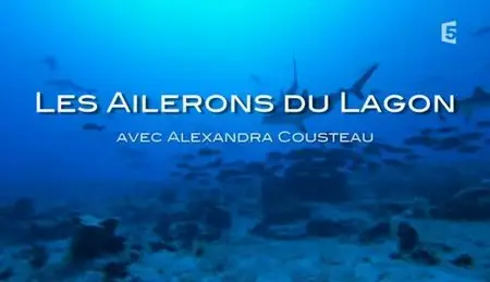 (Fr5) Les ailerons du lagon (2011)