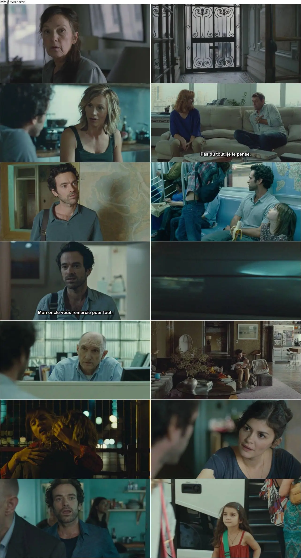 Chinese Puzzle (2013) Casse-tête chinois