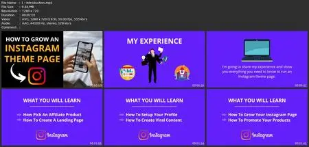 Instagram Marketing: Making Money On Instagram For Beginners