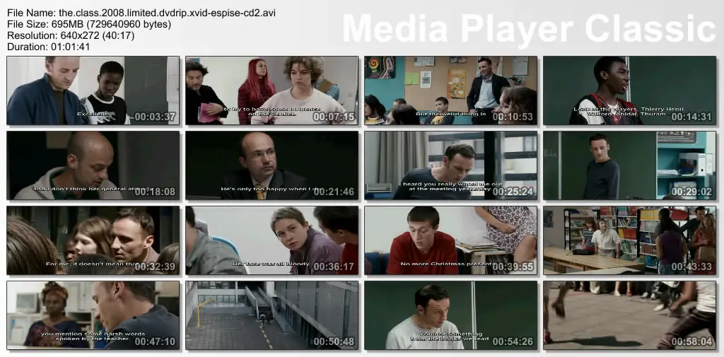The Class (2008)