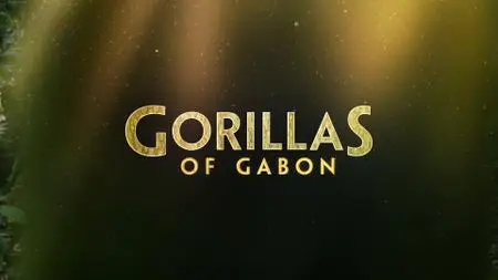 Gorillas of Gabon (2019)