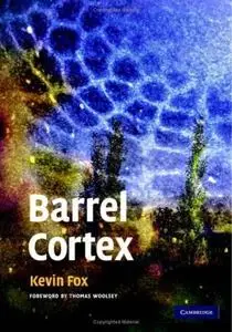 Barrel Cortex [Repost]