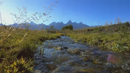 National Geographic: Great Migrations [6 series] /  National Geographic: Великие миграции [6 серий] (2010) [Repost]