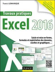 Travaux pratiques avec Excel 2016 : Saisie et mise en forme, formules et exploitation des données, courbes et graphiques...