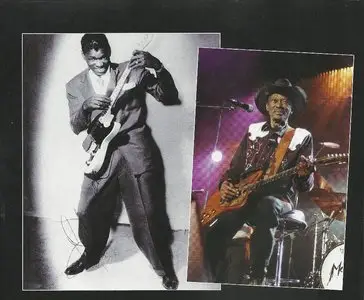 V.A. - Blues Masters Vol 13 (3CD, 2012)