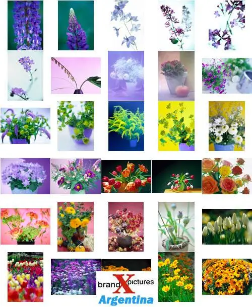 Brand X Vol. 073 Flowers and Bouquets