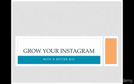 Instagram Success Learn from the best brands on Instagram