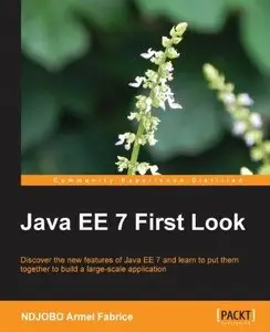 Java EE 7 First Look (Repost)
